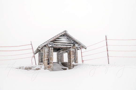 Frosted and Frozen