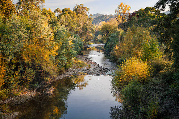 Peaceful Porepunkah