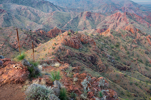 Arkaroola