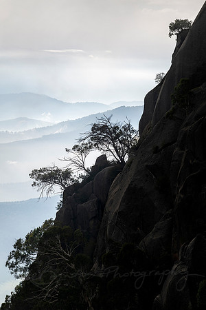 Mountains in the Mist