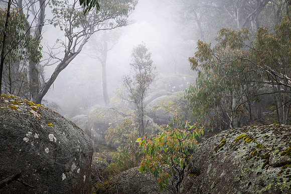 The Crystal Brook Lookout