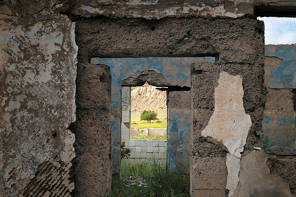 The Tree in the Window