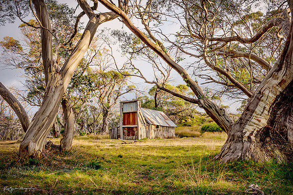 Wallace Hut