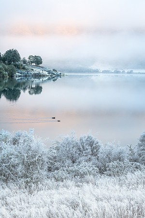 Scene from a Fairytale