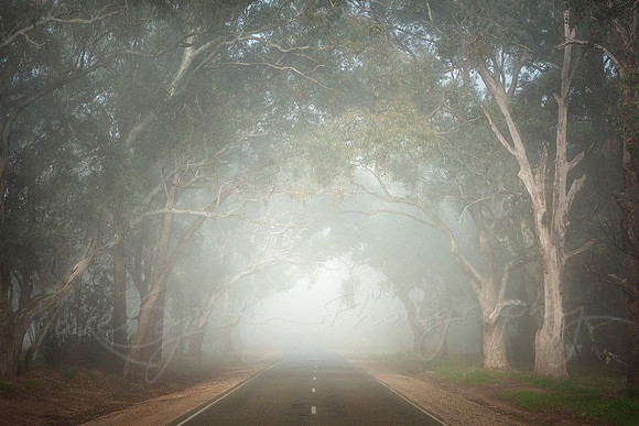 Gently Dawning