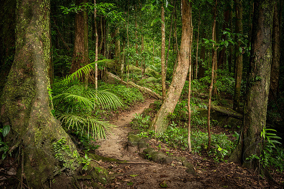 Mossman Mystery