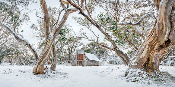 A Place of Shelter
