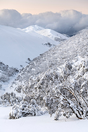 Feathertop from Afar