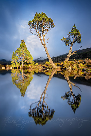 A Moment of Light