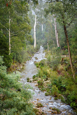 Eurobin Creek