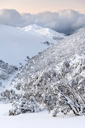 Feathertop from Afar