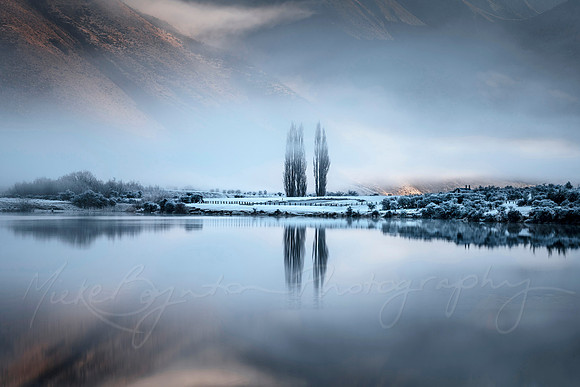 Winter Fog