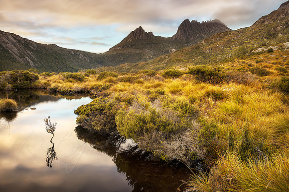 Colourful Cradle Mountain