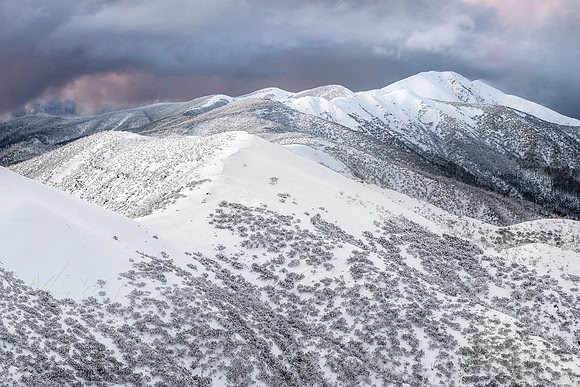 The Feathertop Ridgeline