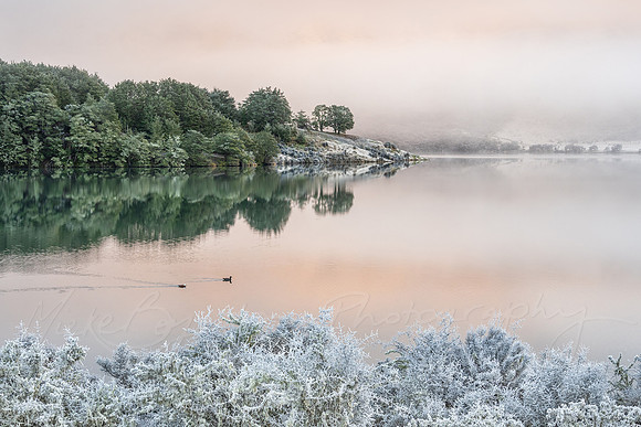 Frozen Landscape