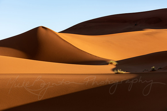 Sahara Sands