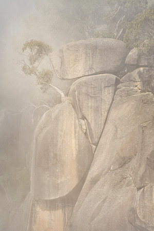 Precarious Symbiosis