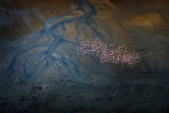 Above the Shallows