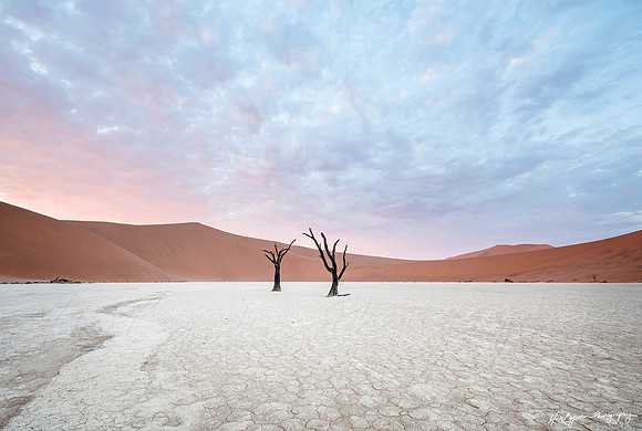 DeadVlei in Namibia by photographer Mieke Boynton