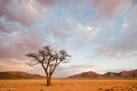 The landscape in Namibia Africa by photographer Mieke Boynton