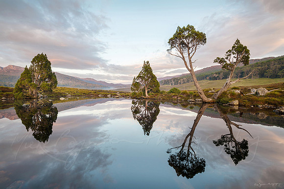Cradle Mountain Tasmania by photographer Mieke Boynton