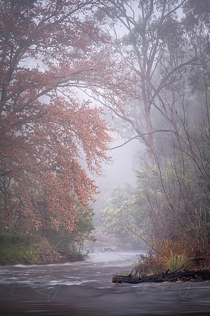 Canyon Walk