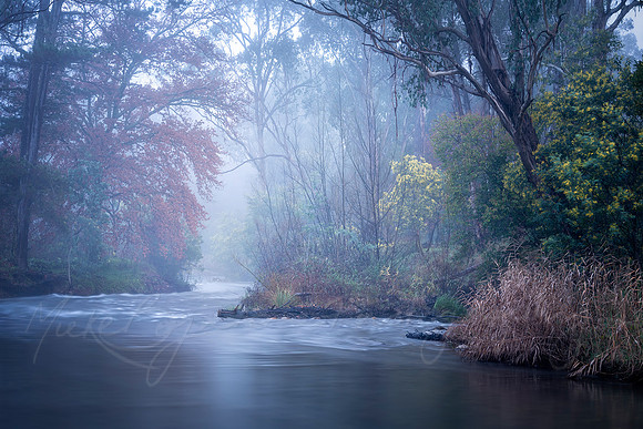 Canyon Dawn