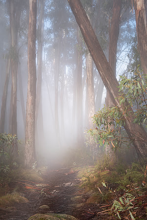 The Haunted Gorge