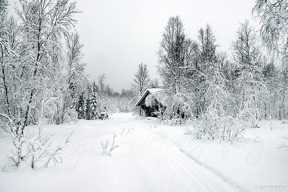 A snow-covered Norwegian Winter scene by photographer Mieke Boynton