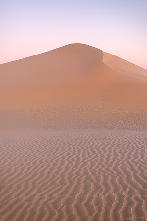 Sand dune at first light, Mungo National Park