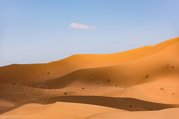 The Sahara Desert