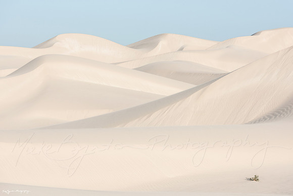 White sand dunes at Eucla, Western Australia