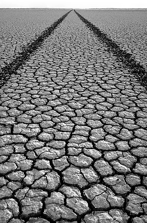Road to Nowhere
