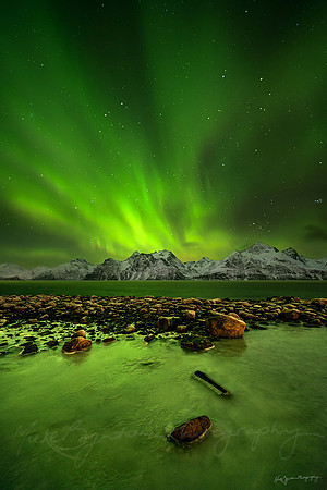 The Aurora Borealis in Norway by photographer Mieke Boynton