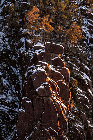 Dawn-light at the Gorge